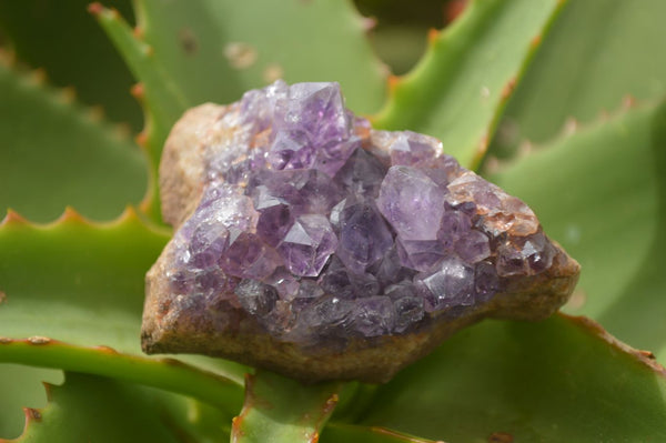 Natural Amethyst & Crystal Centred Geodes  x 24 From Zululand, South Africa - TopRock