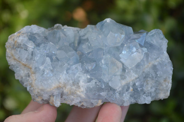 Natural Blue Celestite Crystal Specimens  x 3 From Madagascar - Toprock Gemstones and Minerals 