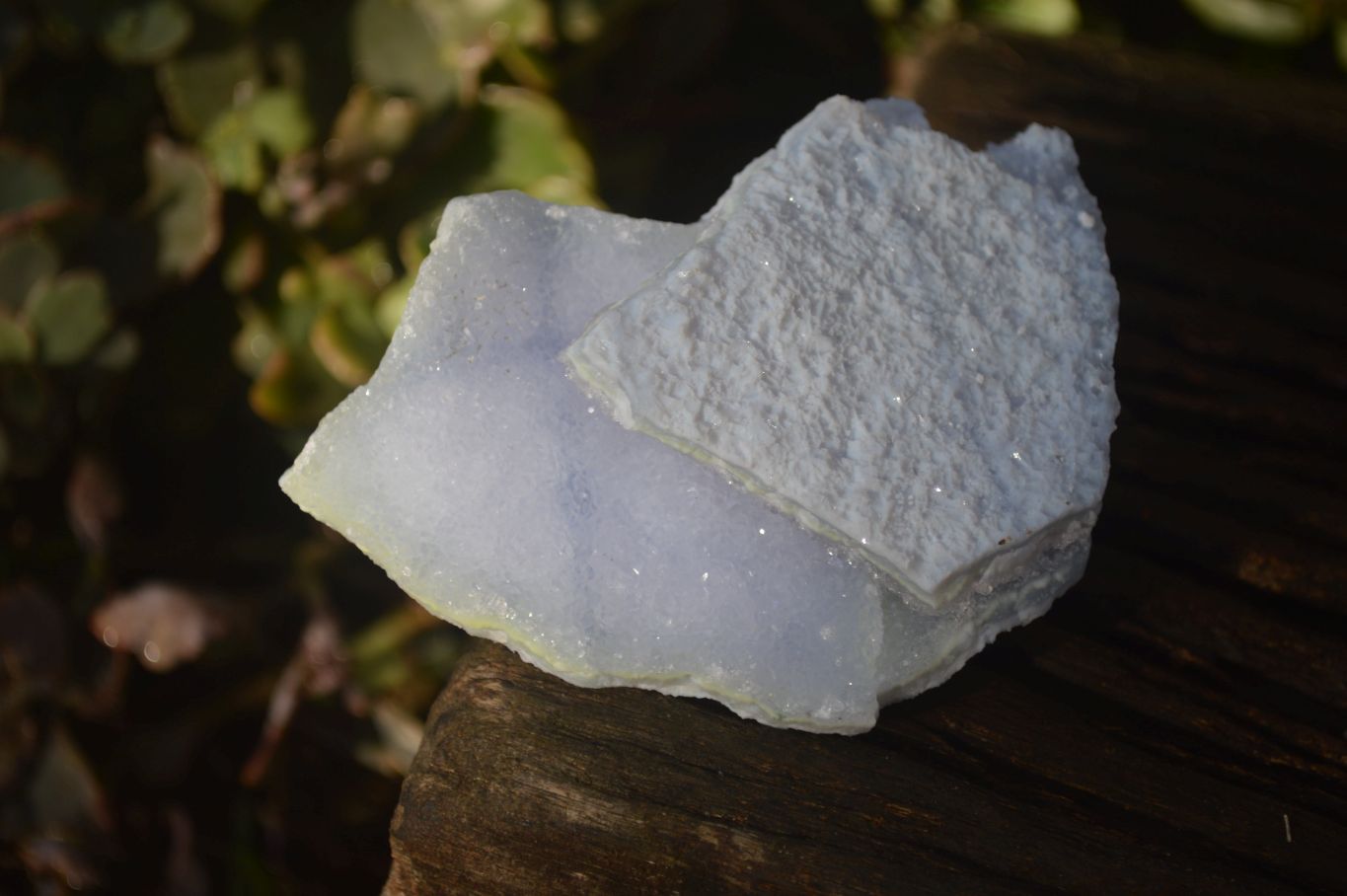 Natural Etched Blue Chalcedony Specimens  x 6 From Nsanje, Malawi - Toprock Gemstones and Minerals 