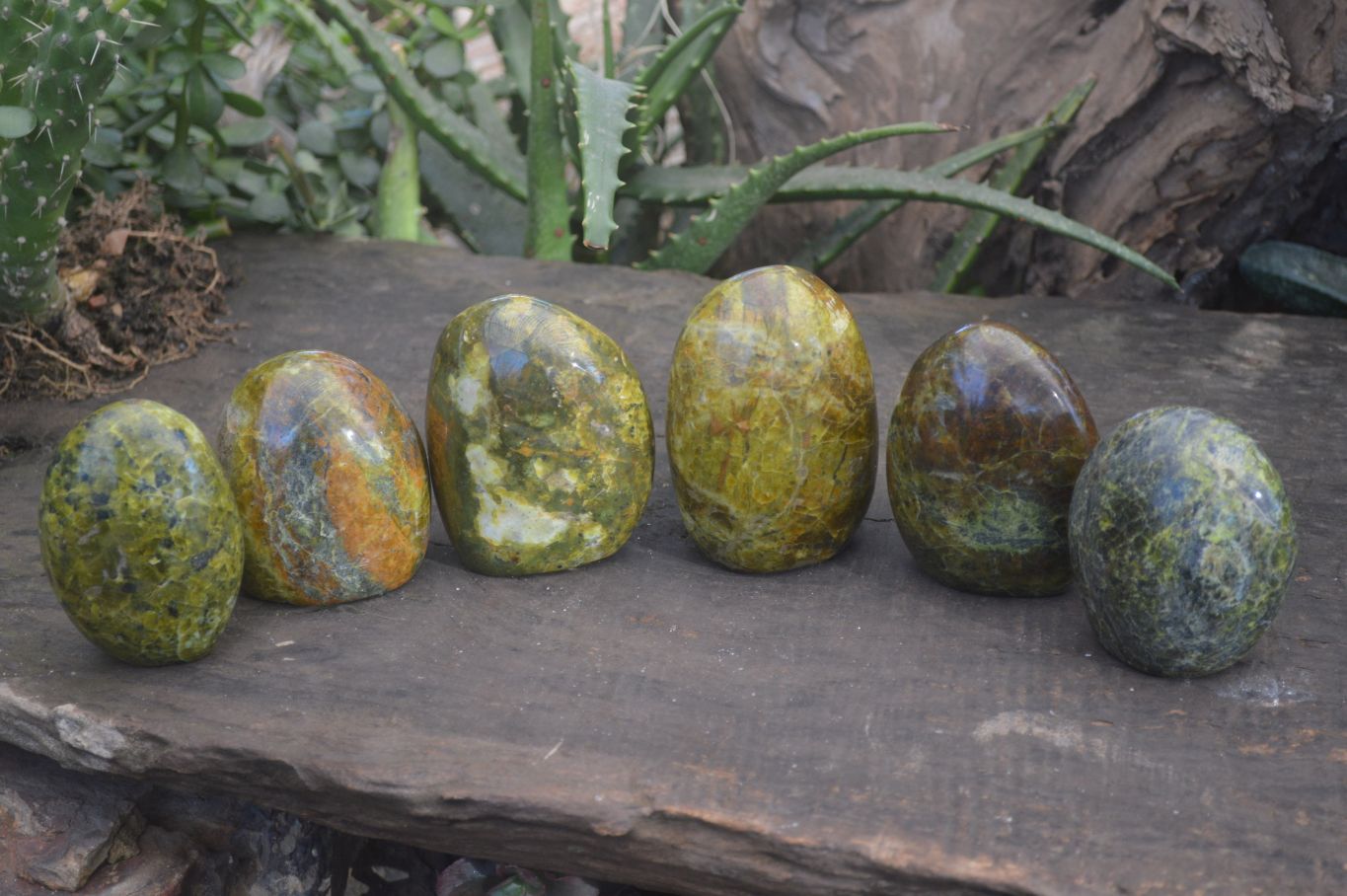 Polished Green Opal Standing Free Forms  x 6 From Madagascar - Toprock Gemstones and Minerals 