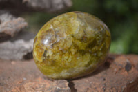 Polished Large Green Opal Galet - Palm Stone x 12 From Madagascar - Toprock Gemstones and Minerals 