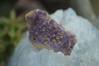Natural Small Amethyst Plate Specimens  x 53 From Kwaggafontein, South Africa - TopRock