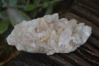 Natural Mixed Spirit Quartz Clusters  x 12 From Boekenhouthoek, South Africa - Toprock Gemstones and Minerals 