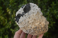 Natural Fluorescent Hyalite Opal Specimen  x 1 From Erongo, Namibia - Toprock Gemstones and Minerals 