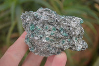 Natural Rare Emerald Mica In Matrix Cobbed Specimens x 12 From Mutoko, Zimbabwe - Toprock Gemstones and Minerals 