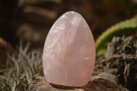 Polished  Pink Rose Quartz Standing Free Forms x 4 From Ambatondrazaka, Madagascar - TopRock