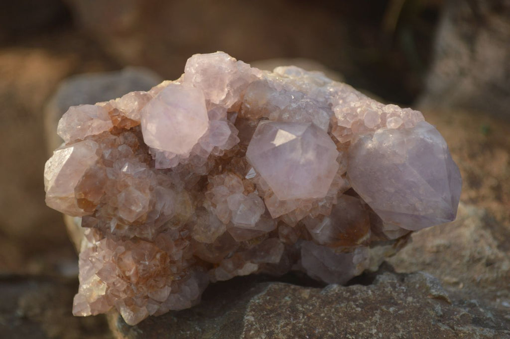 Natural Spirit Amethyst Quartz Clusters x 4 From Boekenhouthoek, South Africa - Toprock Gemstones and Minerals 