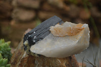 Natural Schorl Black Tourmaline Specimens x 2 From Erongo Mountains, Namibia - TopRock