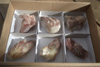 Natural Red Hematoid Quartz Specimens x 6 From Karoi, Zimbabwe - Toprock Gemstones and Minerals 