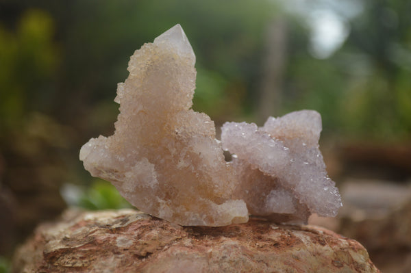Natural Selected Mixed Spirit Quartz Clusters  x 35 From Boekenhouthoek, South Africa - TopRock