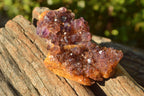 Natural Small Dark "Amethystos" Amethyst Clusters x 35 From Kwaggafontein, South Africa - TopRock