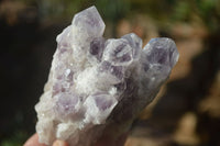Natural Sugar Amethyst Clusters  x 4 From Solwezi, Zambia