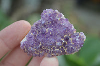 Natural Small Amethyst Plate Specimens  x 53 From Kwaggafontein, South Africa - TopRock