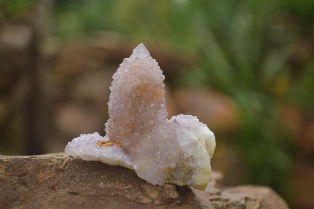 Natural Selected Mixed Spirit Quartz Clusters  x 35 From Boekenhouthoek, South Africa - TopRock