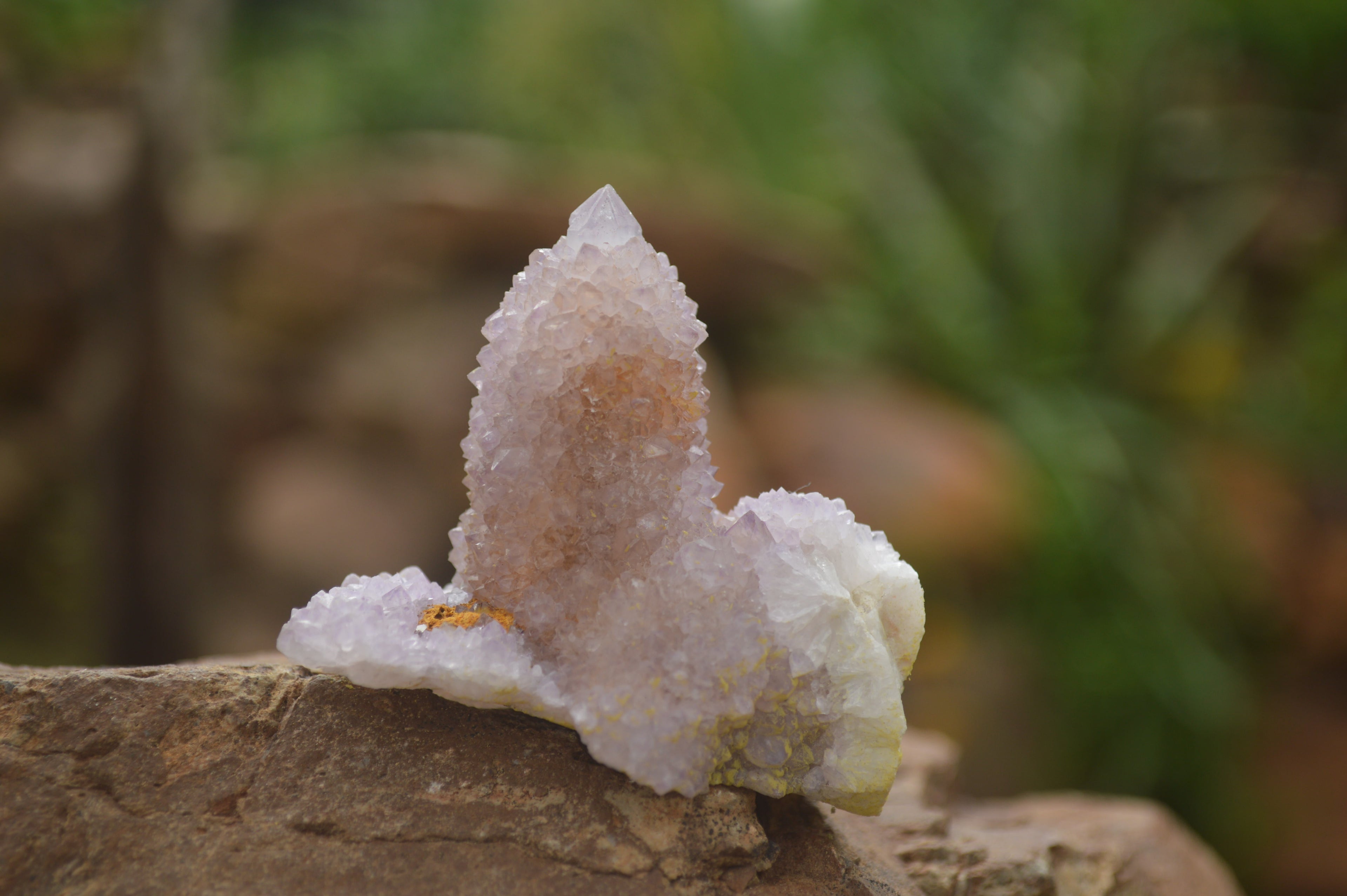 Natural Selected Mixed Spirit Quartz Clusters  x 35 From Boekenhouthoek, South Africa - TopRock