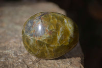 Polished Large Green Opal Galet - Palm Stone x 12 From Madagascar - Toprock Gemstones and Minerals 