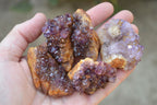 Natural Small Dark "Amethystos" Amethyst Clusters x 35 From Kwaggafontein, South Africa - TopRock