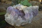 Natural Jacaranda Amethyst Cluster x 1 From Zambia - Toprock Gemstones and Minerals 