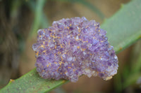 Natural Small Amethyst Plate Specimens  x 53 From Kwaggafontein, South Africa - TopRock