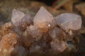 Natural Spirit Amethyst Quartz Clusters x 4 From Boekenhouthoek, South Africa - Toprock Gemstones and Minerals 