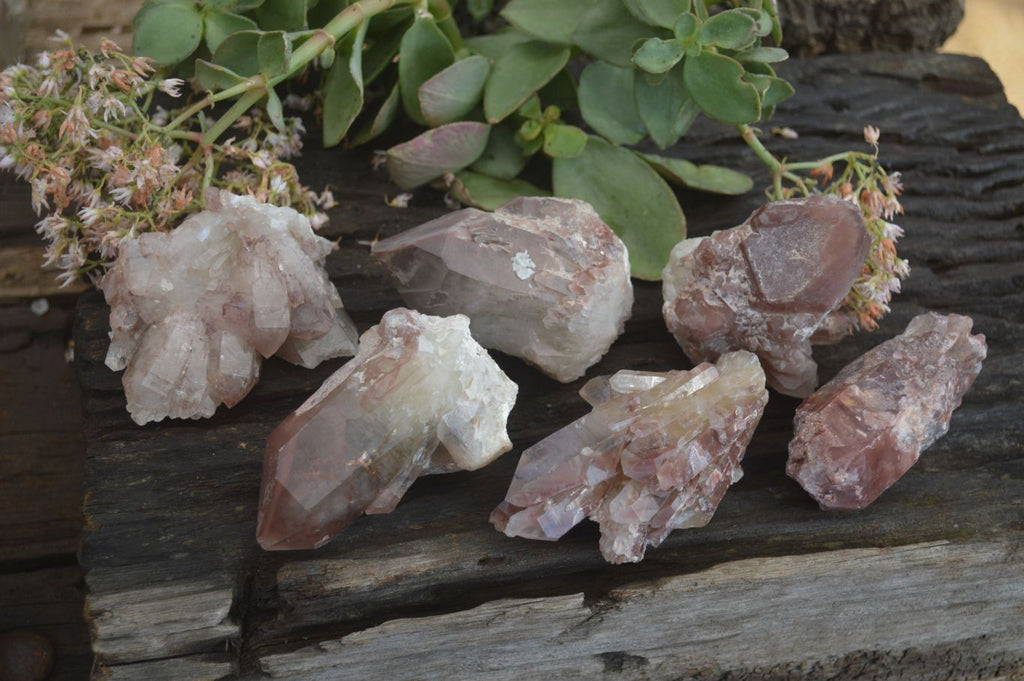 Natural Red Hematoid Quartz Specimens x 6 From Karoi, Zimbabwe - Toprock Gemstones and Minerals 