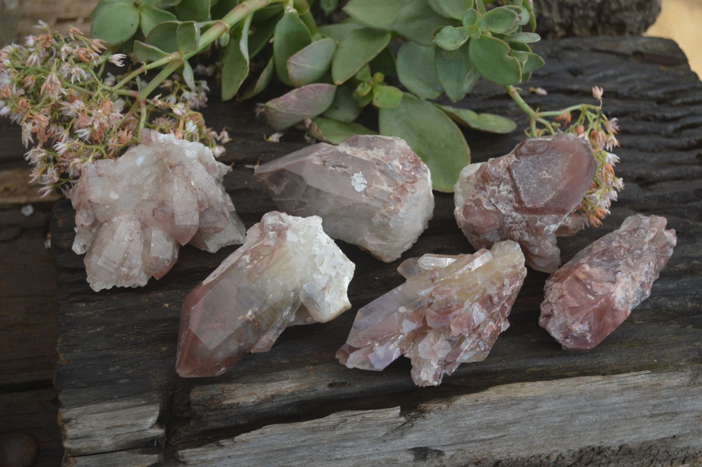 Natural Red Hematoid Quartz Specimens x 6 From Karoi, Zimbabwe - Toprock Gemstones and Minerals 