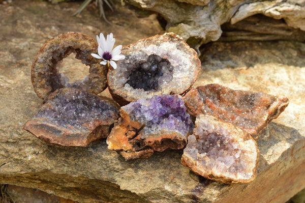 Natural Amethyst & Basalt Geode Specimens  x 6 From Zululand, South Africa - TopRock
