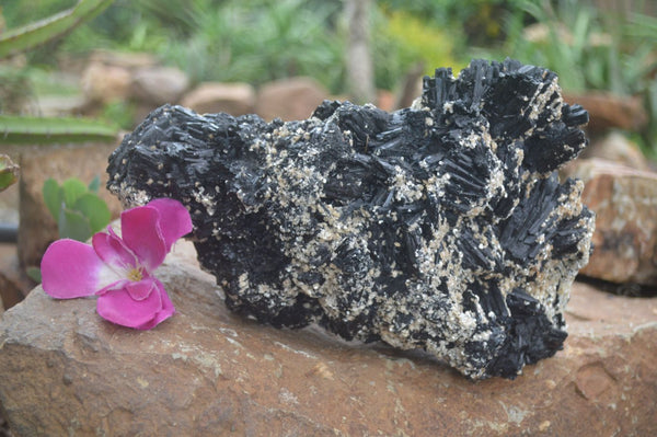 Natural Black Tourmaline Specimen x 1 From Erongo Mountains, Namibia - TopRock