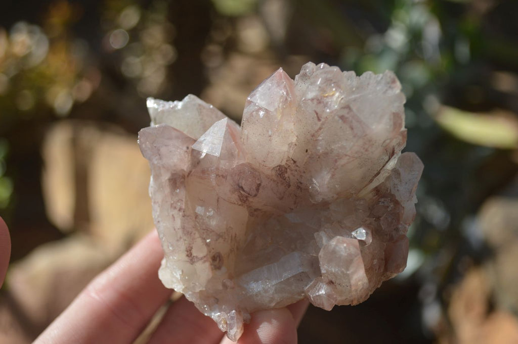 Natural Red Hematoid Quartz Specimens x 6 From Karoi, Zimbabwe - Toprock Gemstones and Minerals 