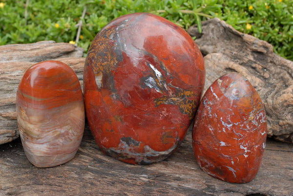 Polished Red Jasper Standing Free Forms x 3 From Madagascar - TopRock