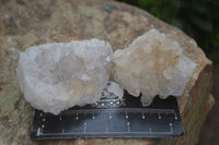 Natural Limonite Tinted Quartz Crystal Plates  x 35 From Zambia - Toprock Gemstones and Minerals 
