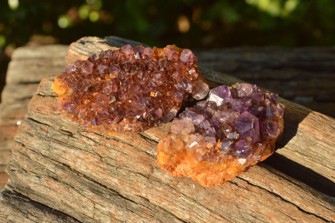 Natural Small Dark "Amethystos" Amethyst Clusters x 35 From Kwaggafontein, South Africa - TopRock
