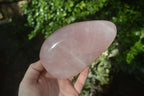 Polished Pink Rose Quartz Standing Free Forms x 2 From Madagascar - Toprock Gemstones and Minerals 
