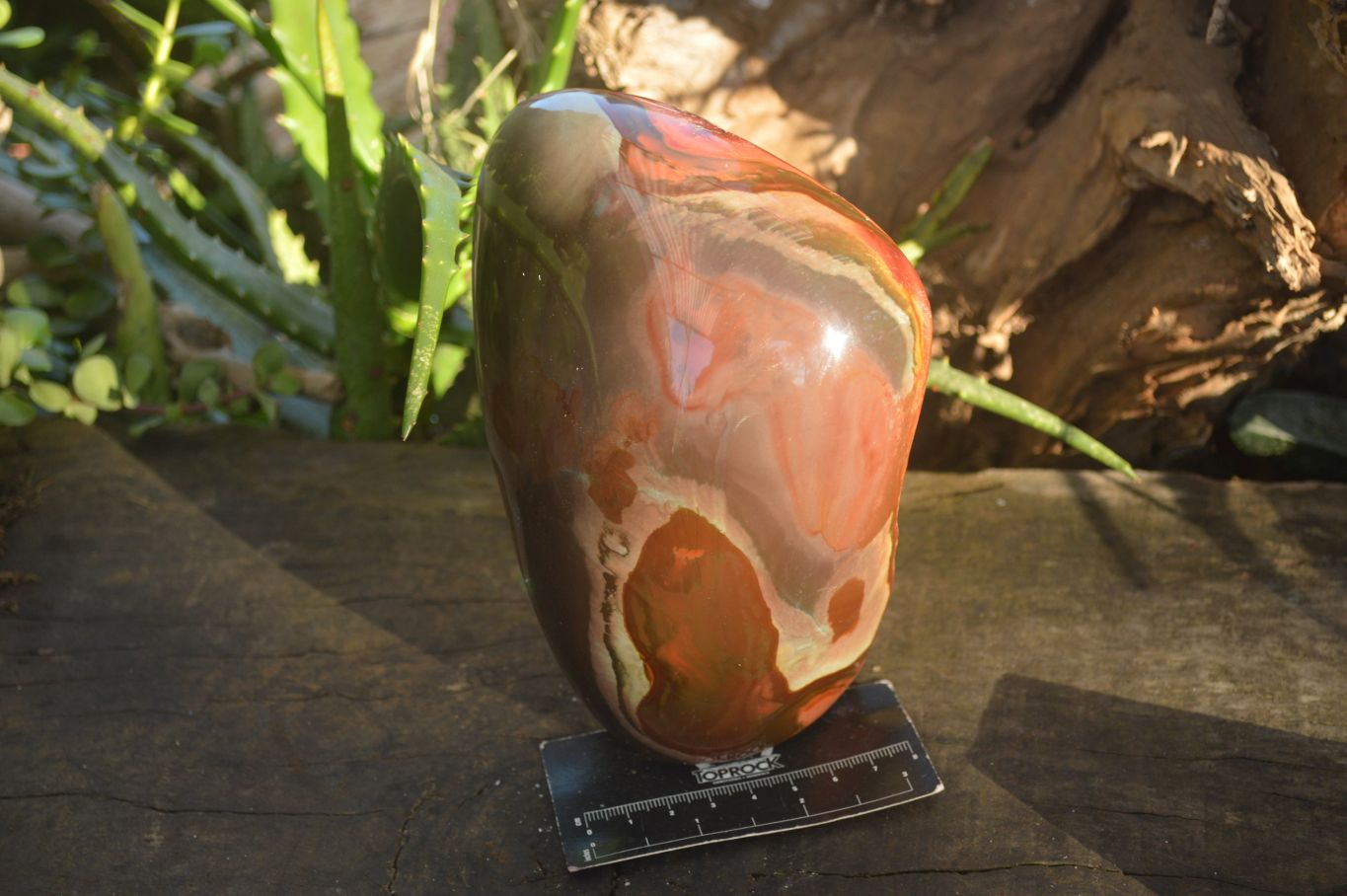Polished One Side Polished Polychrome Jasper Standing Free Form  x 1 From Madagascar - Toprock Gemstones and Minerals 