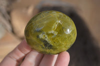Polished Large Green Opal Galet - Palm Stone x 12 From Madagascar - Toprock Gemstones and Minerals 