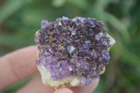 Natural Small Amethyst Plate Specimens  x 53 From Kwaggafontein, South Africa - TopRock