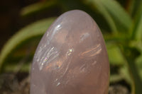 Polished Pink Rose Quartz Standing Free Forms x 2 From Ambatondrazaka, Madagascar - TopRock