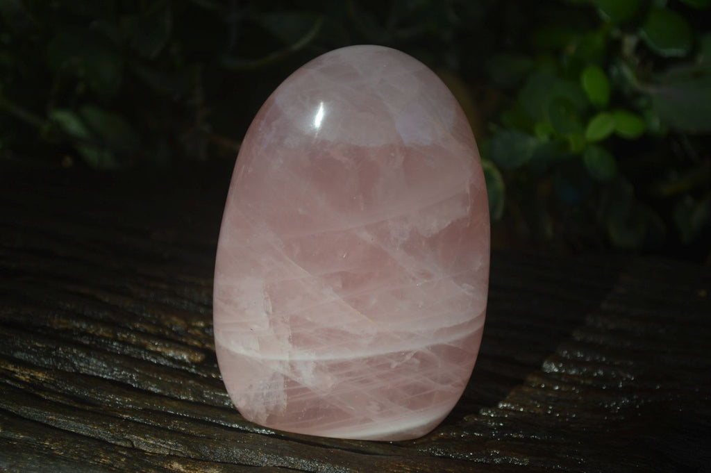 Polished Pink Rose Quartz Standing Free Forms x 2 From Madagascar - Toprock Gemstones and Minerals 