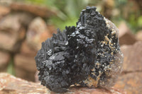 Natural Schorl Black Tourmaline Specimens x 2 From Erongo Mountains, Namibia - TopRock