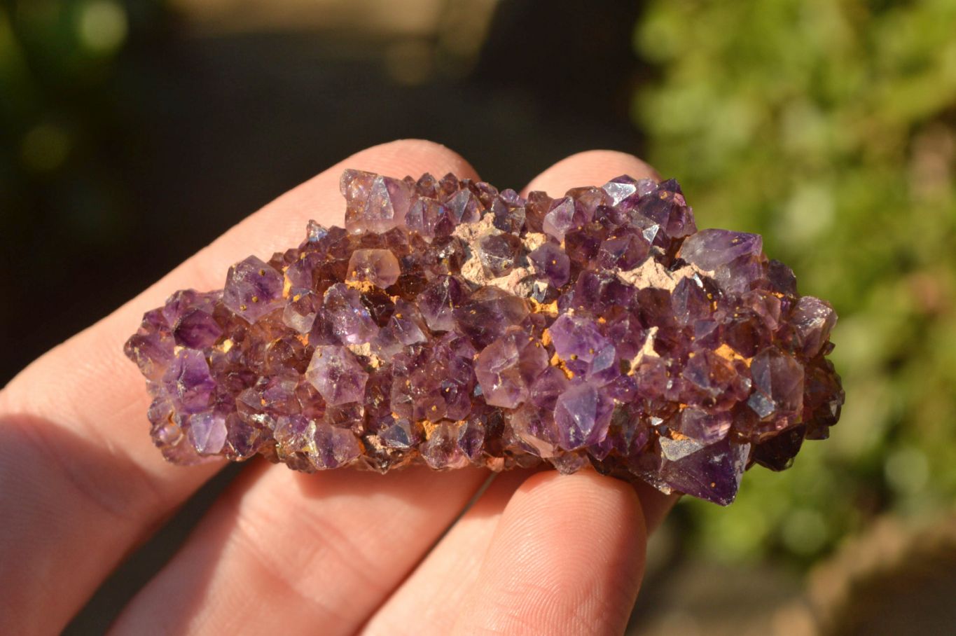 Natural Small Dark "Amethystos" Amethyst Clusters x 35 From Kwaggafontein, South Africa - TopRock