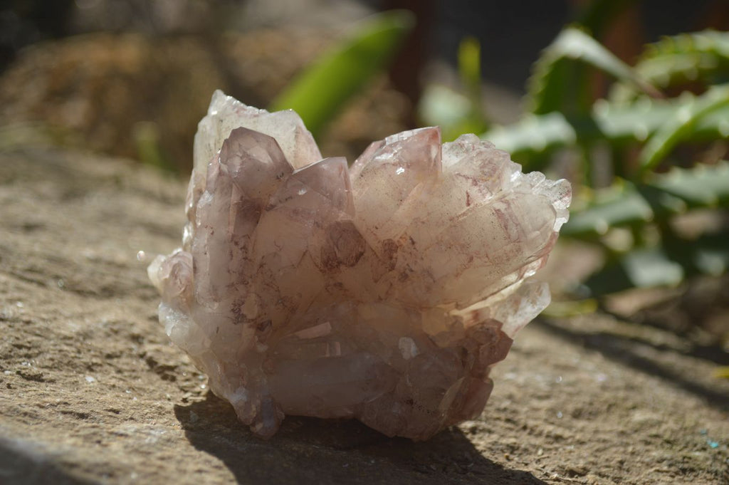 Natural Red Hematoid Quartz Specimens x 6 From Karoi, Zimbabwe - Toprock Gemstones and Minerals 