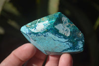 Polished Blue Shattuckite Free Forms  x 6 From Erongo, Namibia - Toprock Gemstones and Minerals 