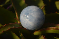 Polished Blue Calcite Spheres x 4 From Ihadilalana, Madagascar - Toprock Gemstones and Minerals 