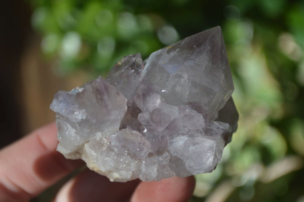 Natural Spirit Amethyst Quartz Crystals x 20 From Boekenhouthoek, South Africa - Toprock Gemstones and Minerals 