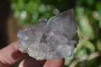 Natural Spirit Amethyst Quartz Crystals x 20 From Boekenhouthoek, South Africa - Toprock Gemstones and Minerals 