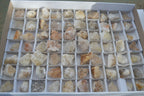 Natural Small Mixed Quartz Clusters  x 70 From Zambia - Toprock Gemstones and Minerals 