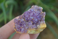 Natural Small Amethyst Plate Specimens  x 53 From Kwaggafontein, South Africa - TopRock