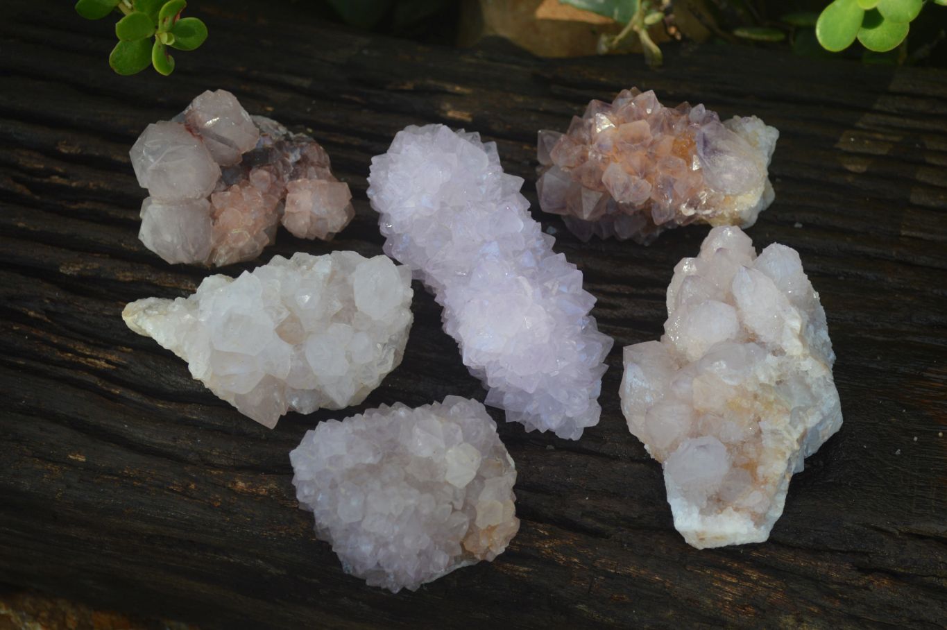 Natural Mixed Spirit Amethyst Quartz Clusters  x 6 From Boekenhouthoek, South Africa - Toprock Gemstones and Minerals 