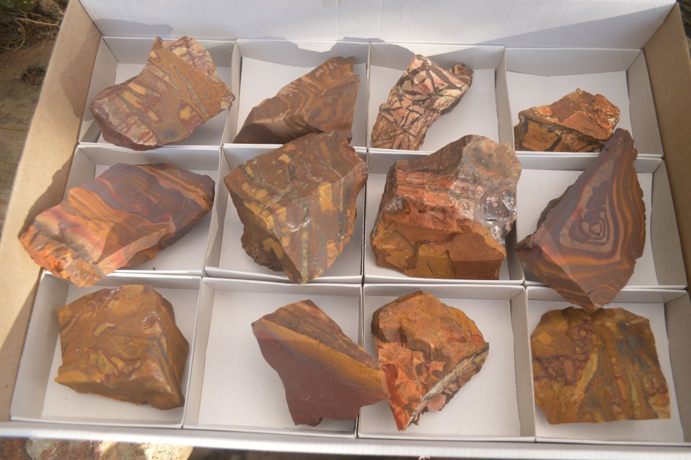 Natural Cobbed Nguni Jasper Pieces  x 12 From Southern Africa - Toprock Gemstones and Minerals 