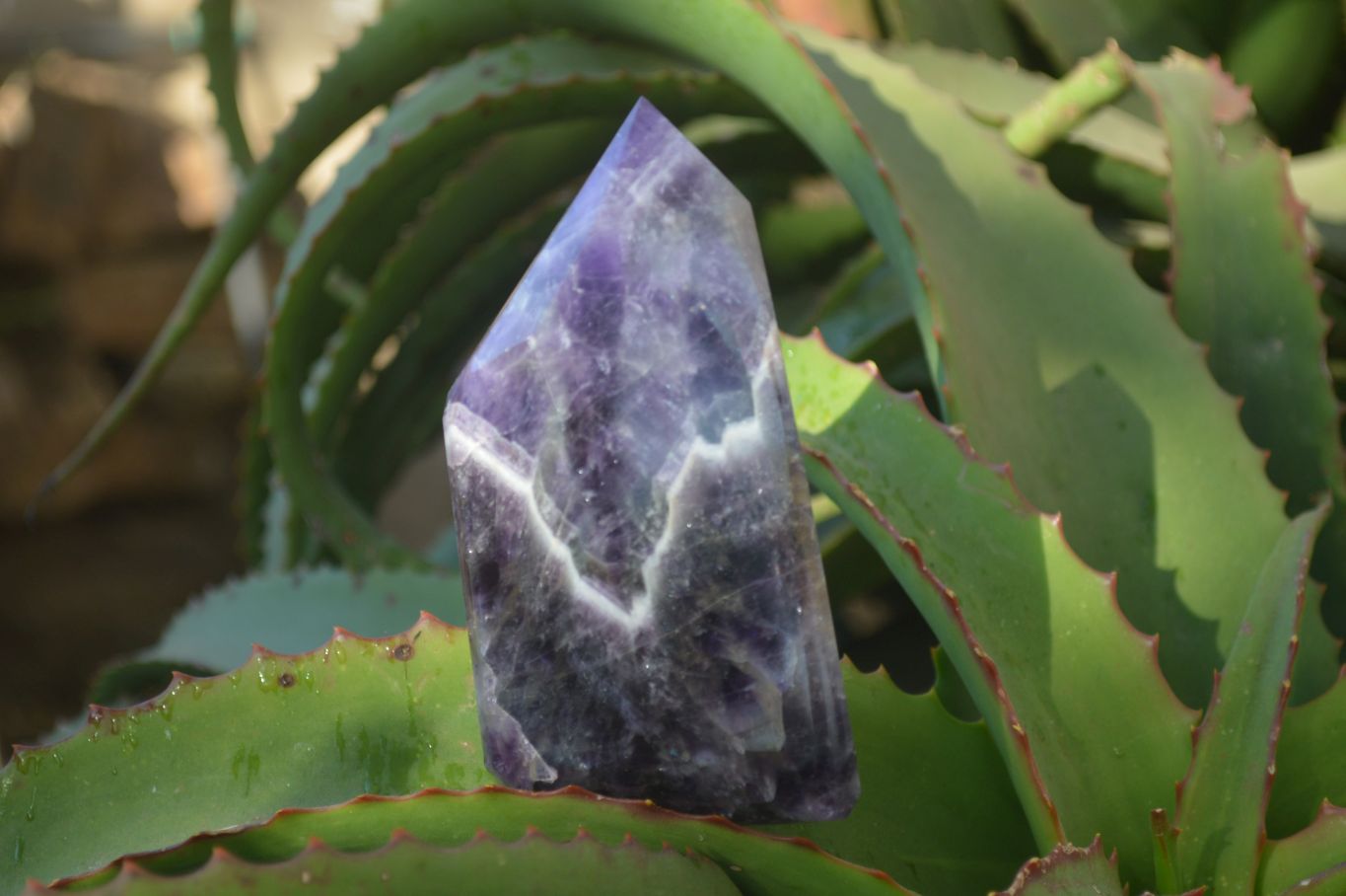 Polished Dark Chevron Amethyst Points x 3 From Zambia - Toprock Gemstones and Minerals 